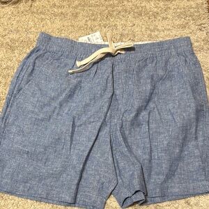 Blue Casual Drawstring Shorts